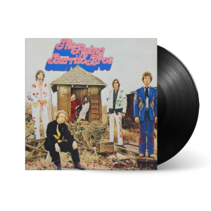 The Gilded Palace Of Sin: Vinyl LP