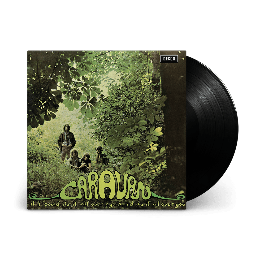 If I Could Do It All Over Again, I'd Do It All Over You: Vinyl LP