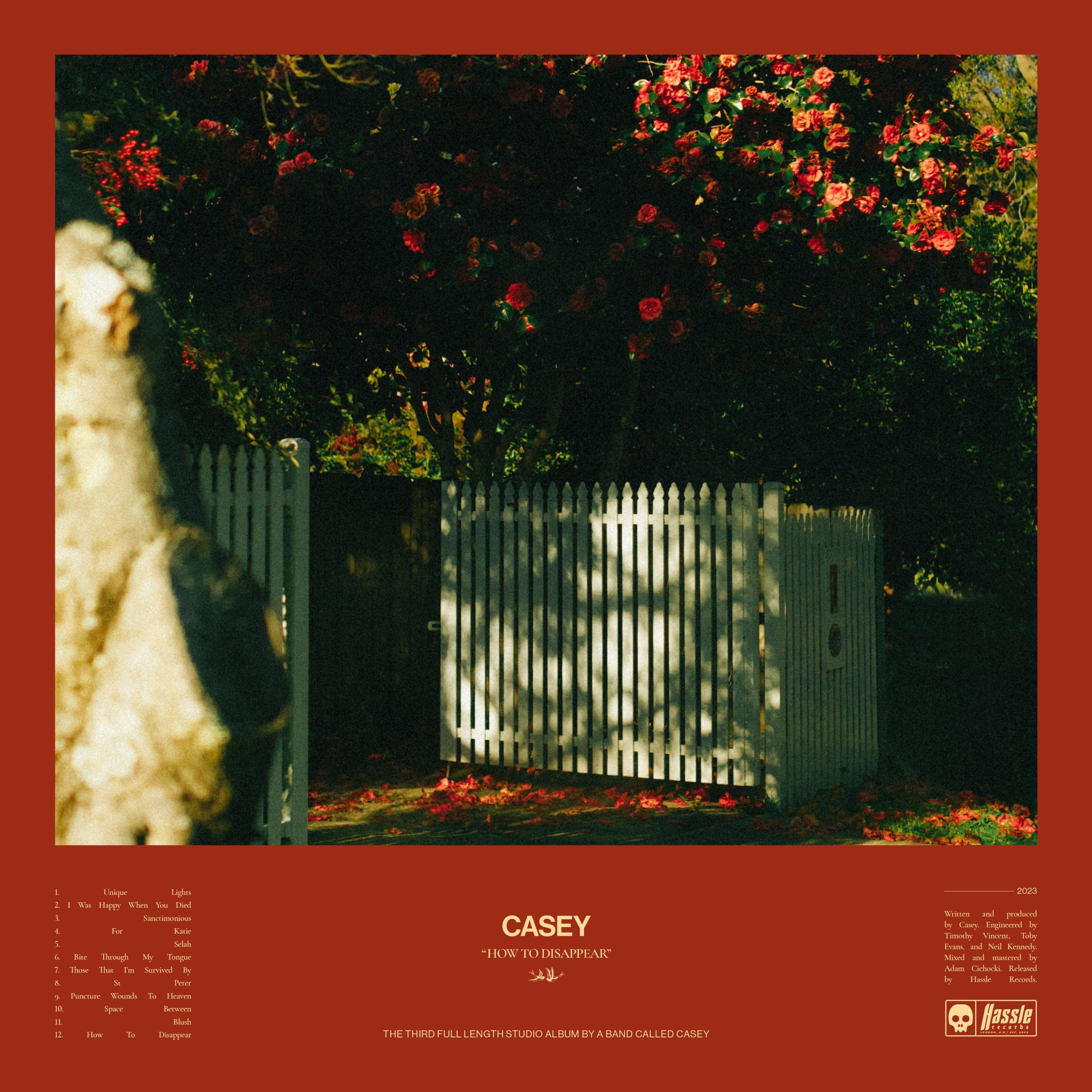 How To Disappear: Limited 'Golden Pearl Marble' Vinyl LP - Image 2