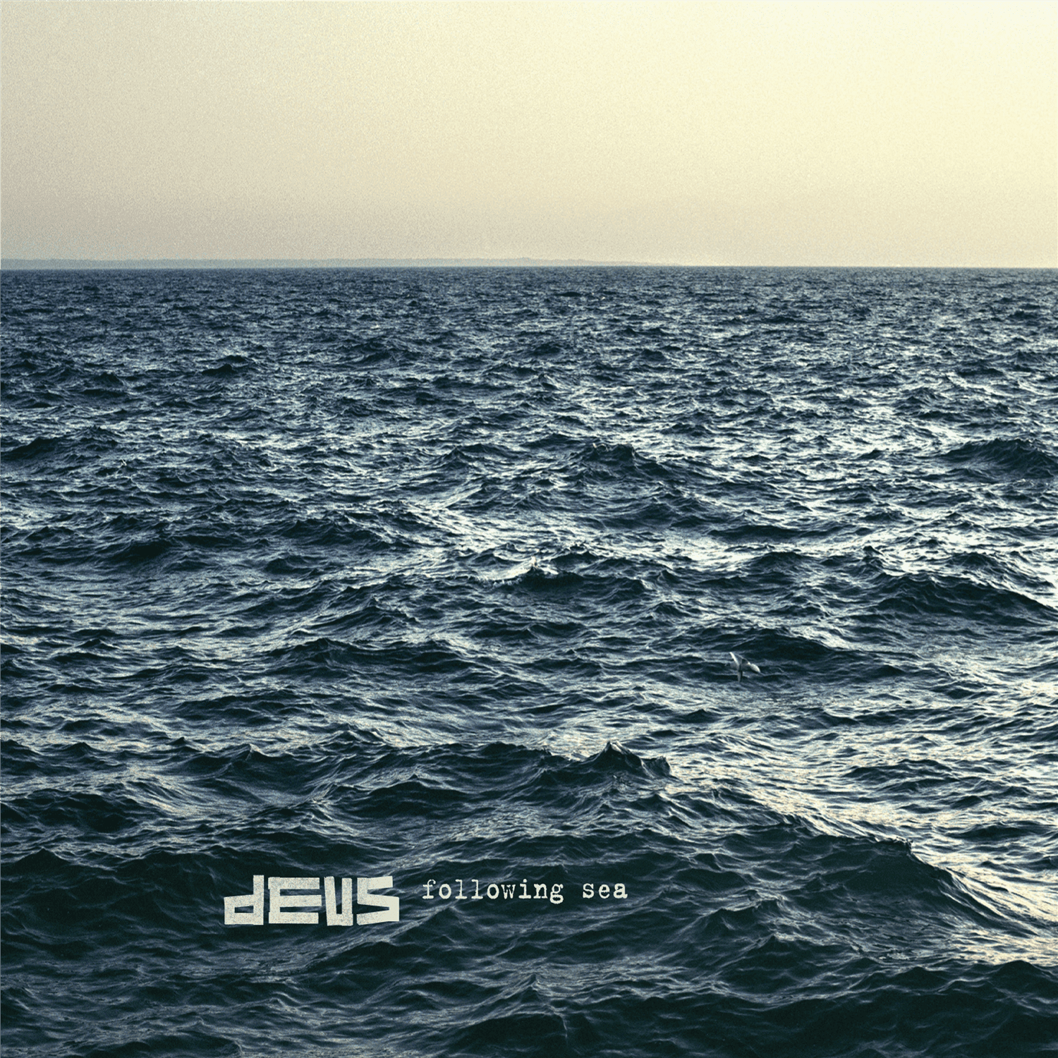 Following Sea: Vinyl LP