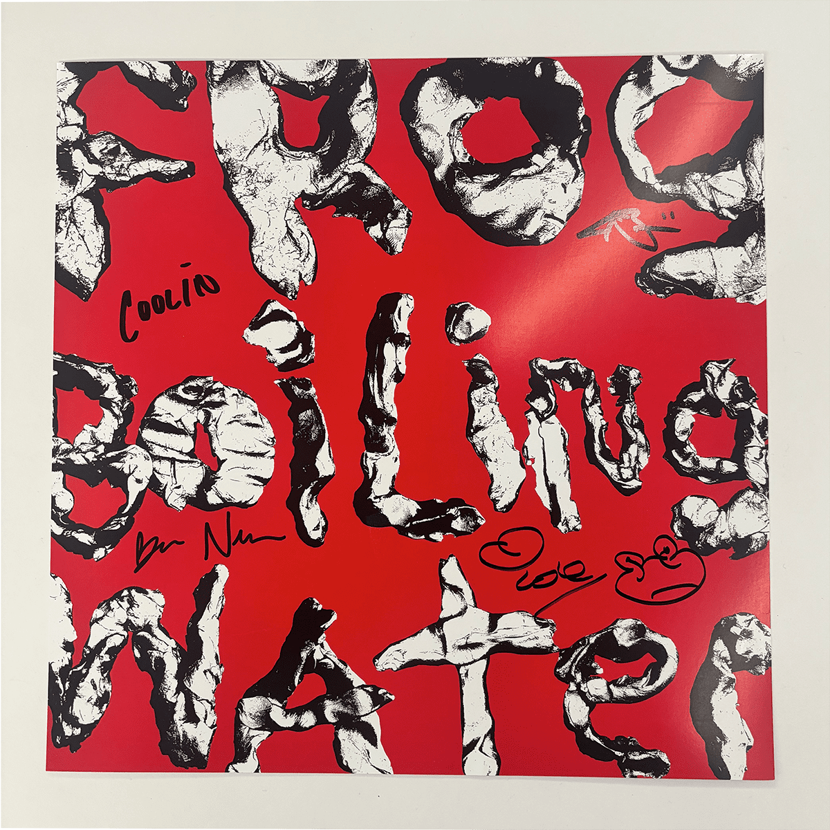 Frog In Boiling Water: Vinyl LP + Exclusive Signed Print - Image 2