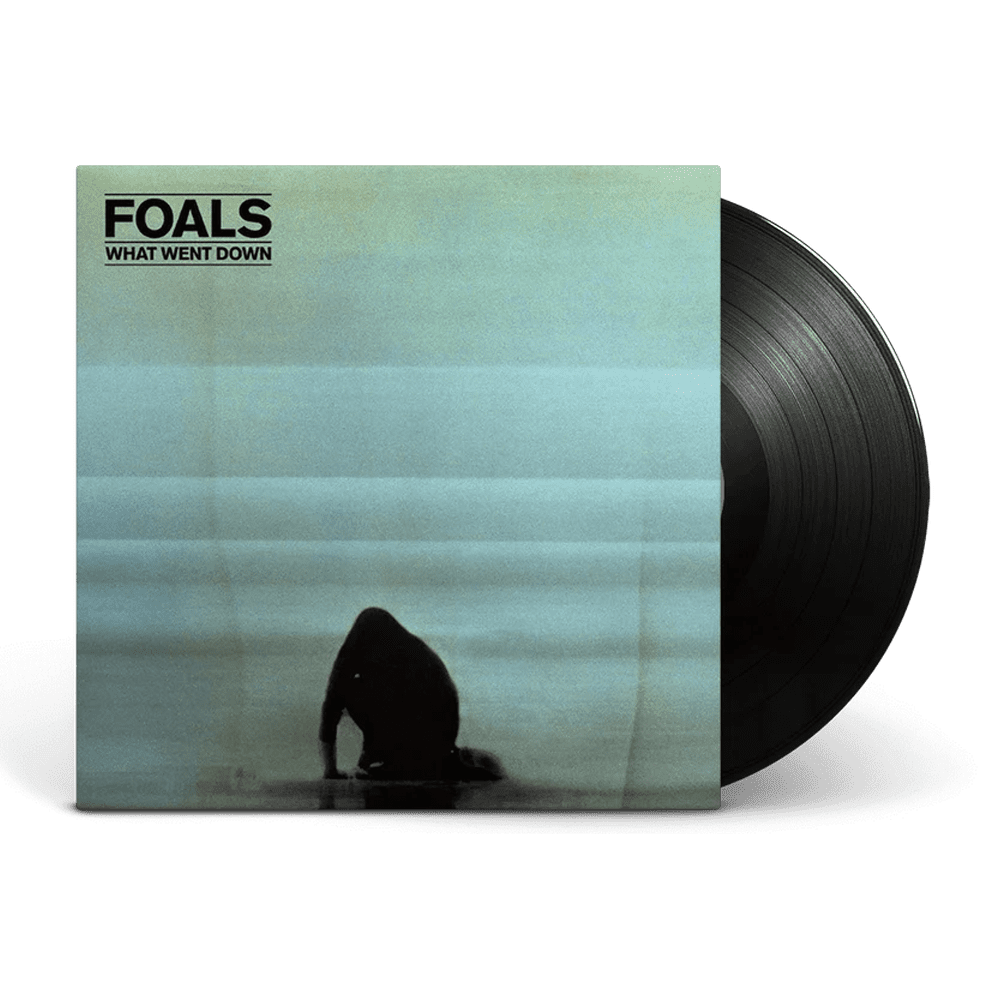 What Went Down: Vinyl LP