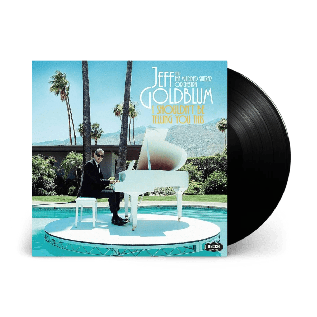 I Shouldn’t Be Telling You This: Vinyl LP