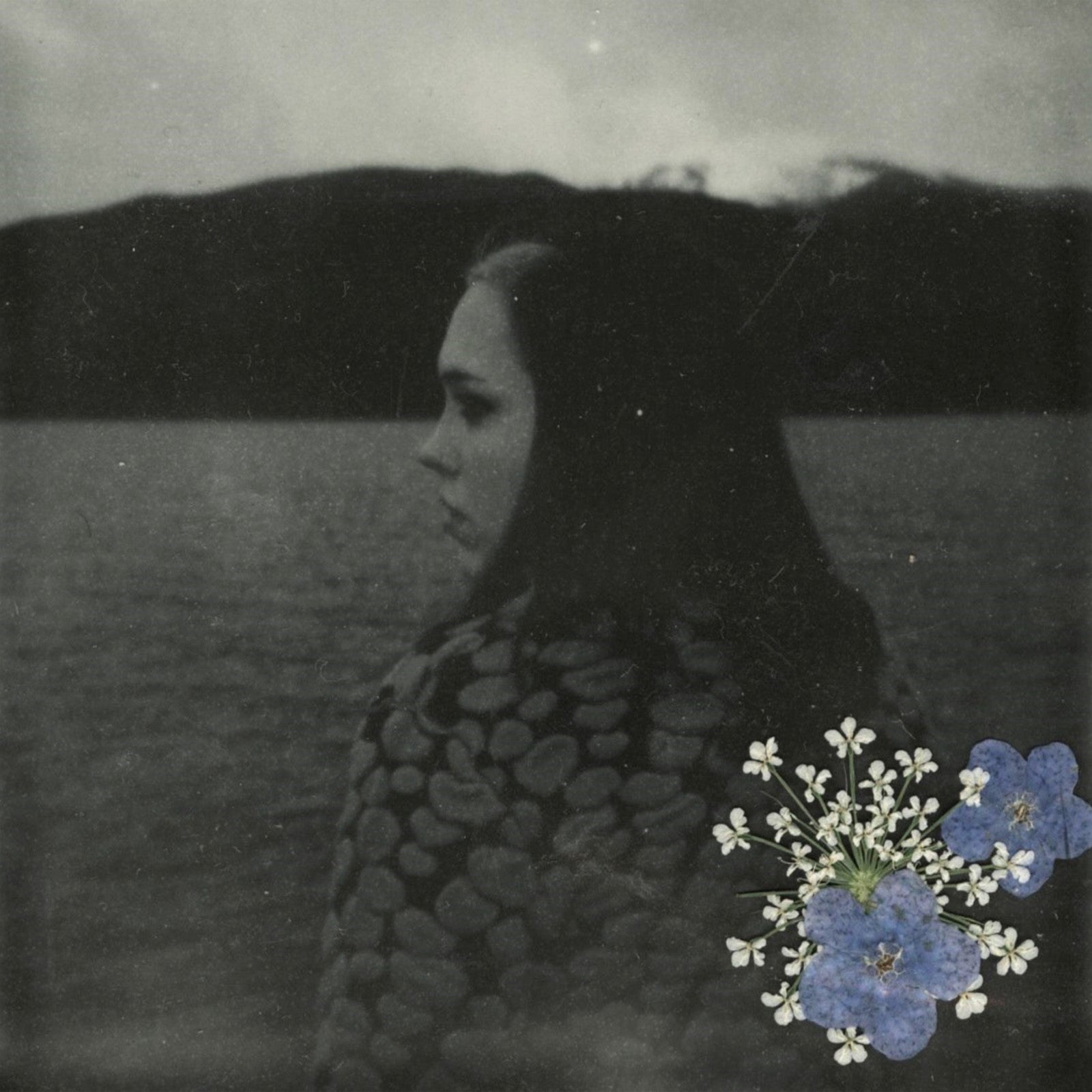 Evergreen: Vinyl LP - Image 2
