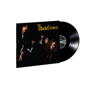 Shake Your Money Maker: Vinyl LP