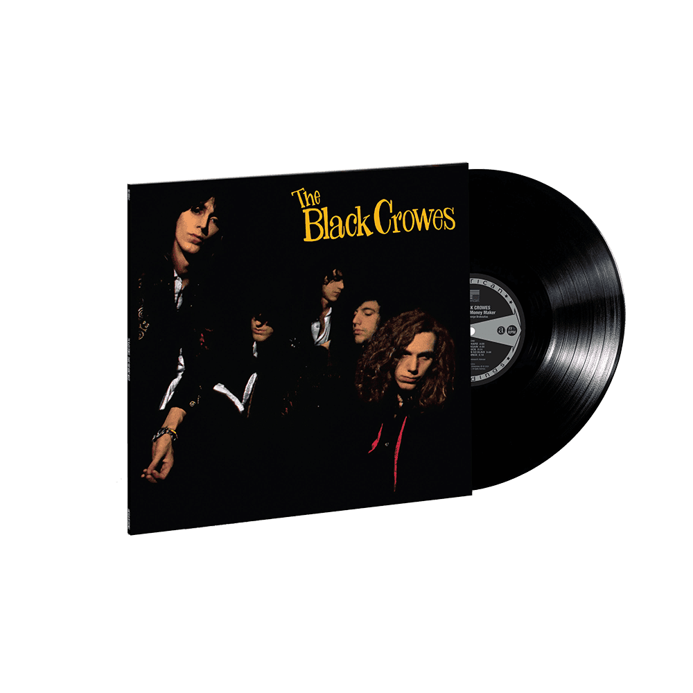 Shake Your Money Maker: Vinyl LP