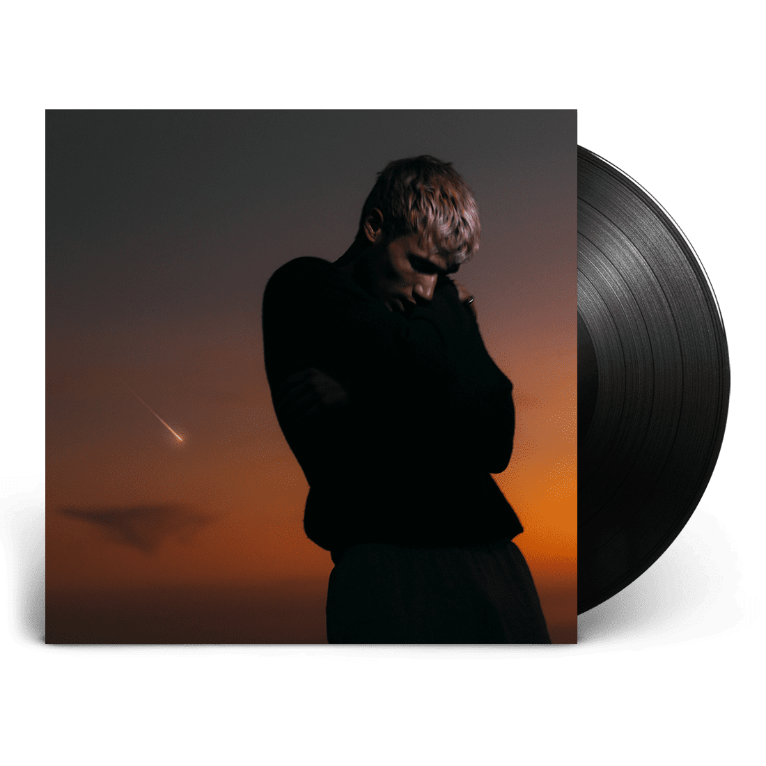 Love Is Not Dying: Standard LP