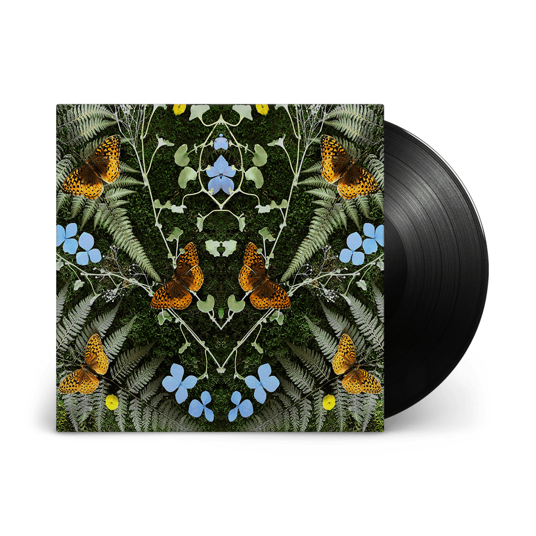 aubades: Vinyl LP