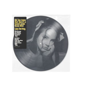 Did you know that there's a tunnel under Ocean Blvd: Picture Disc Vinyl 2LP