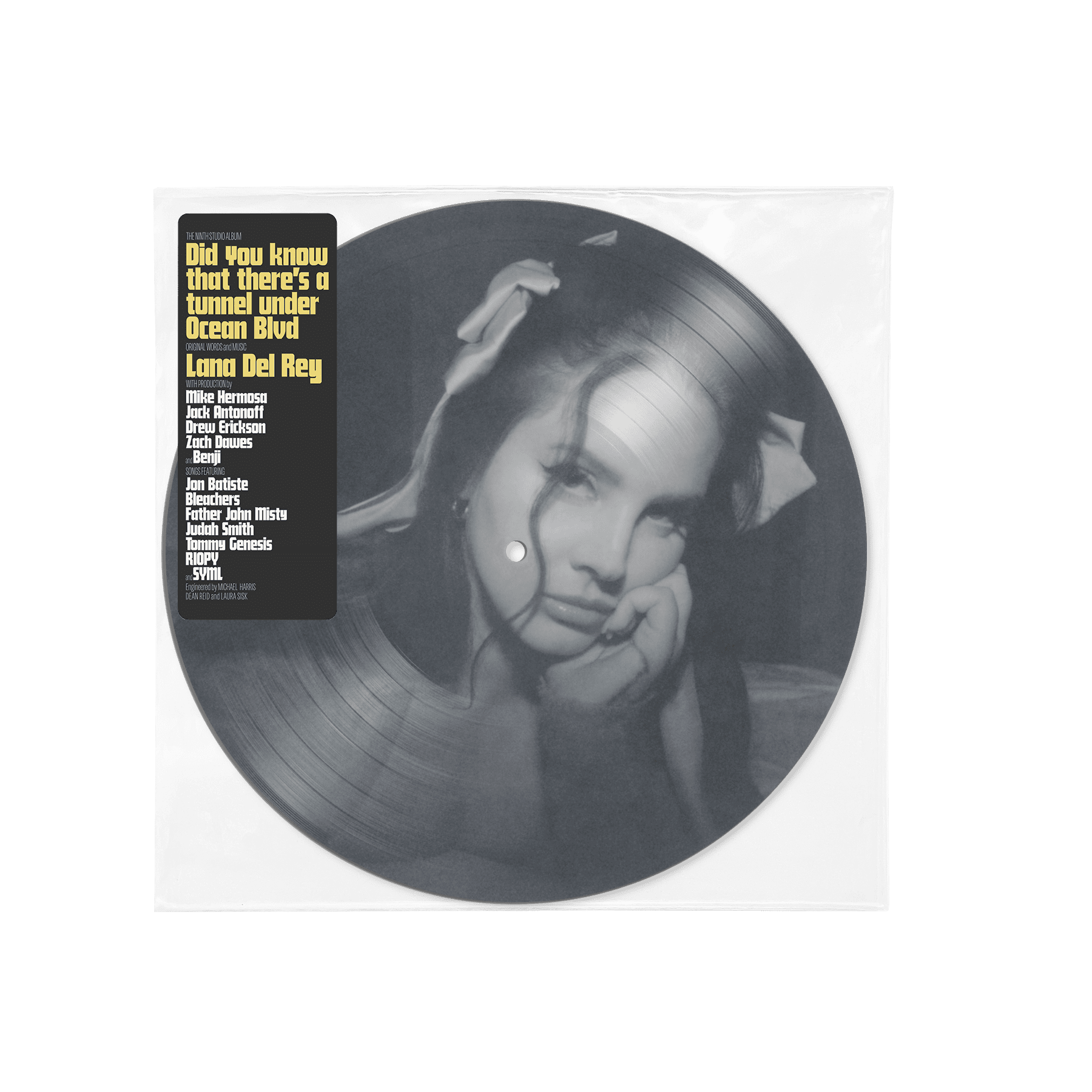 Did you know that there's a tunnel under Ocean Blvd: Picture Disc Vinyl 2LP