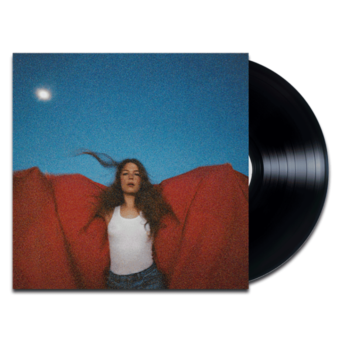 Heard It In A Past Life Vinyl