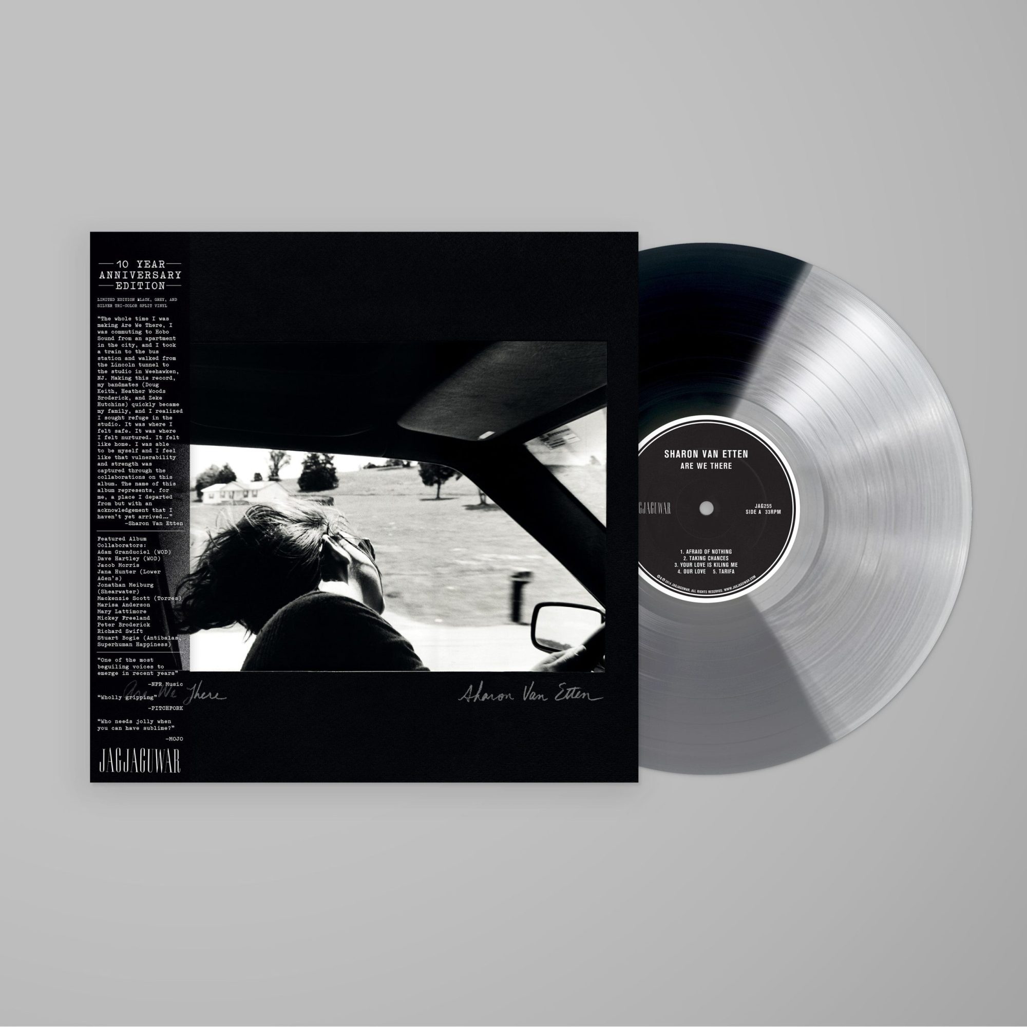 Are We There (10th Anniversary): Limited Black, Grey and Silver Tri-Color Split Vinyl LP