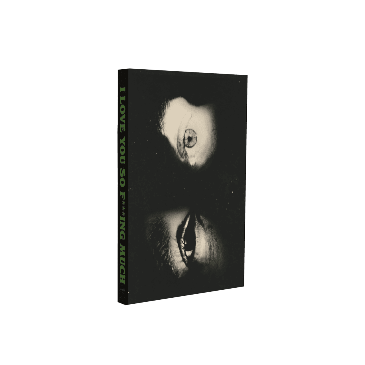 I Love You So F***ing Much: Dave Cassette
