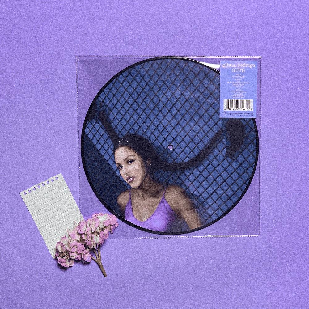 GUTS: Limited Picture Disc Vinyl LP