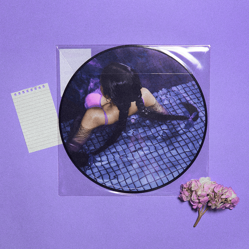GUTS: Limited Picture Disc Vinyl LP - Image 2