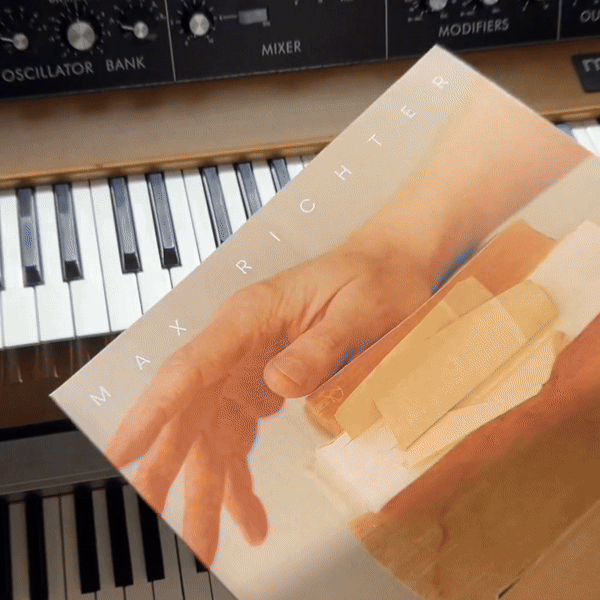 In A Landscape 2LP - Image 2
