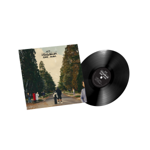 My Neighbours Don't Know: Vinyl LP