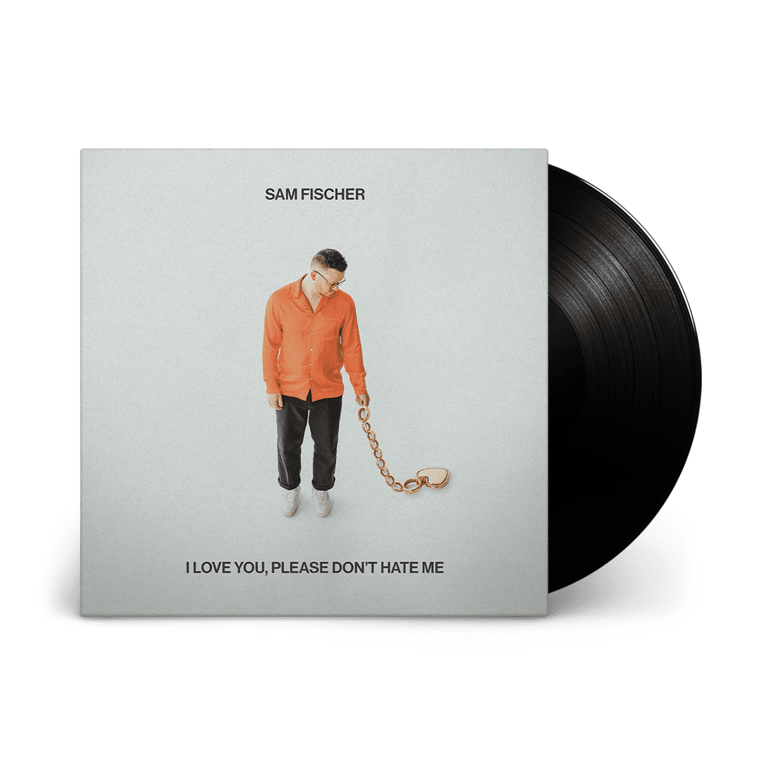 I Love You, Please Don't Hate Me: Vinyl LP