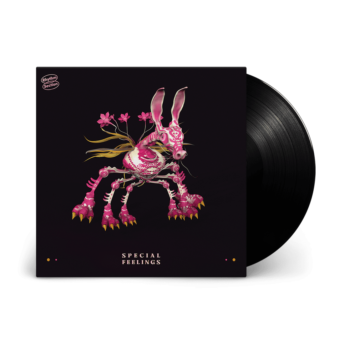 Special Feelings: Vinyl LP