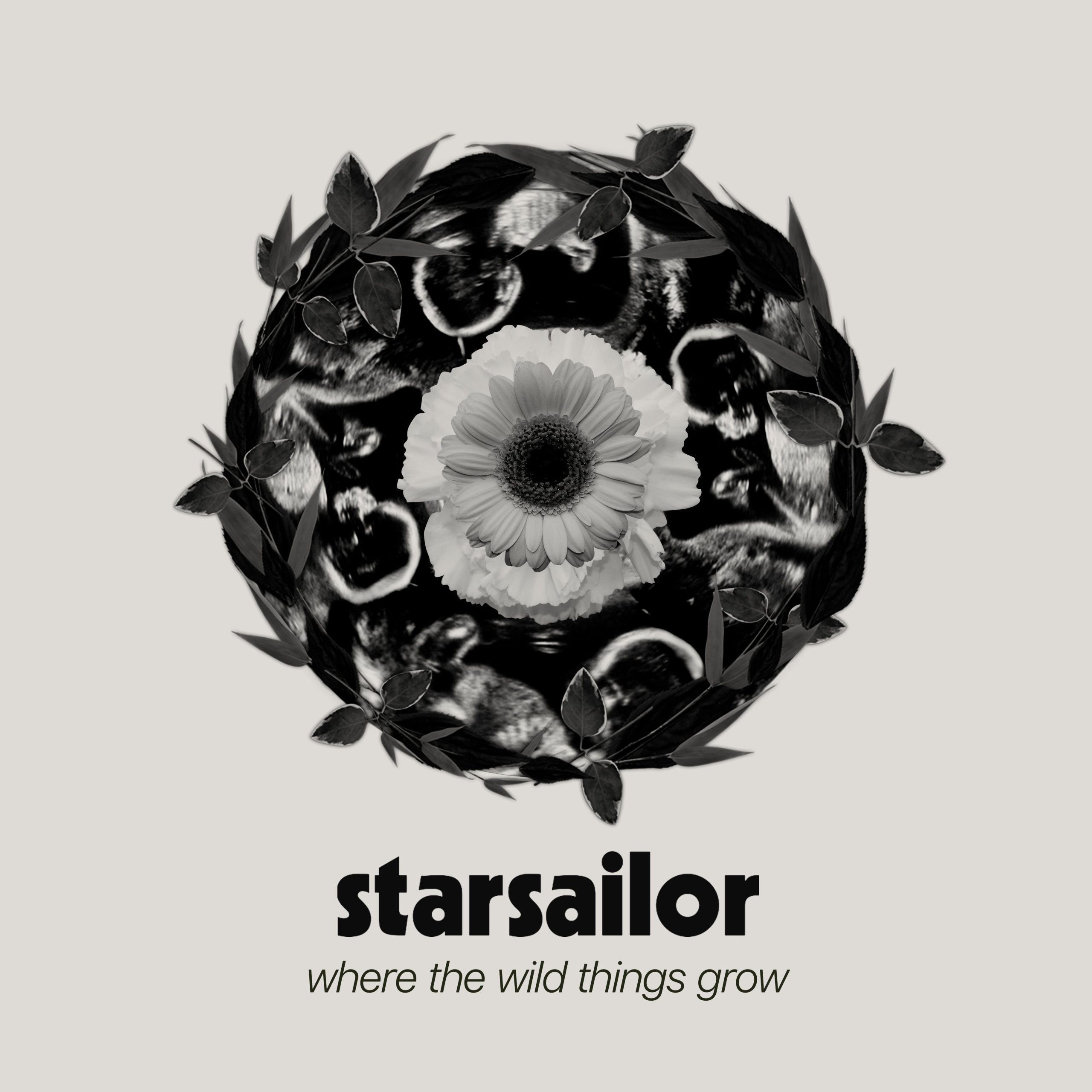 Where The Wild Things Grow: Vinyl LP - Image 2
