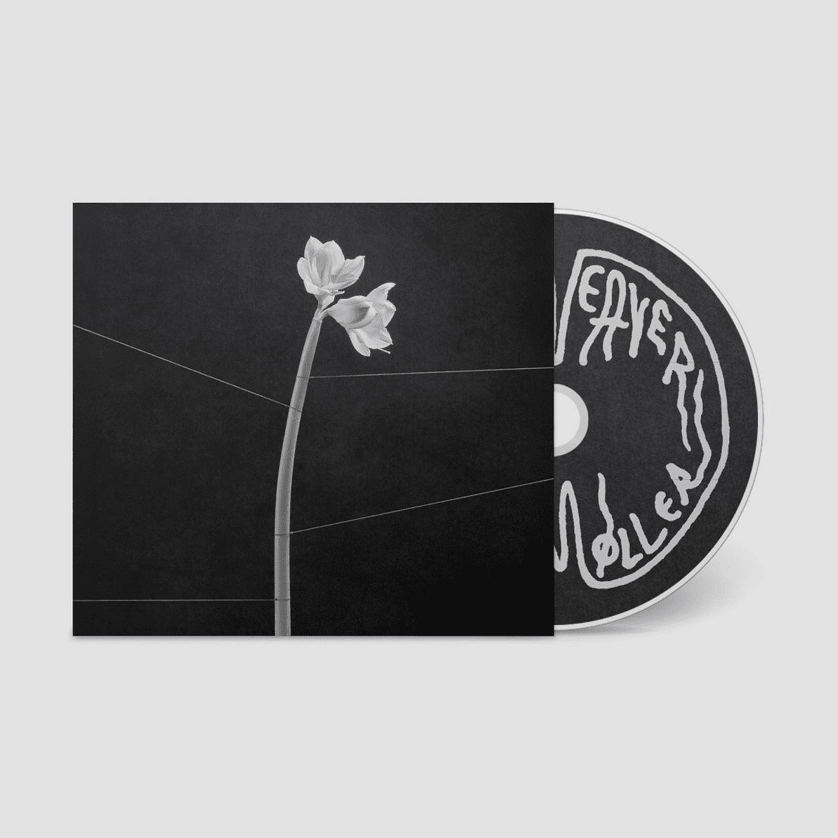 Dreamweaver: CD