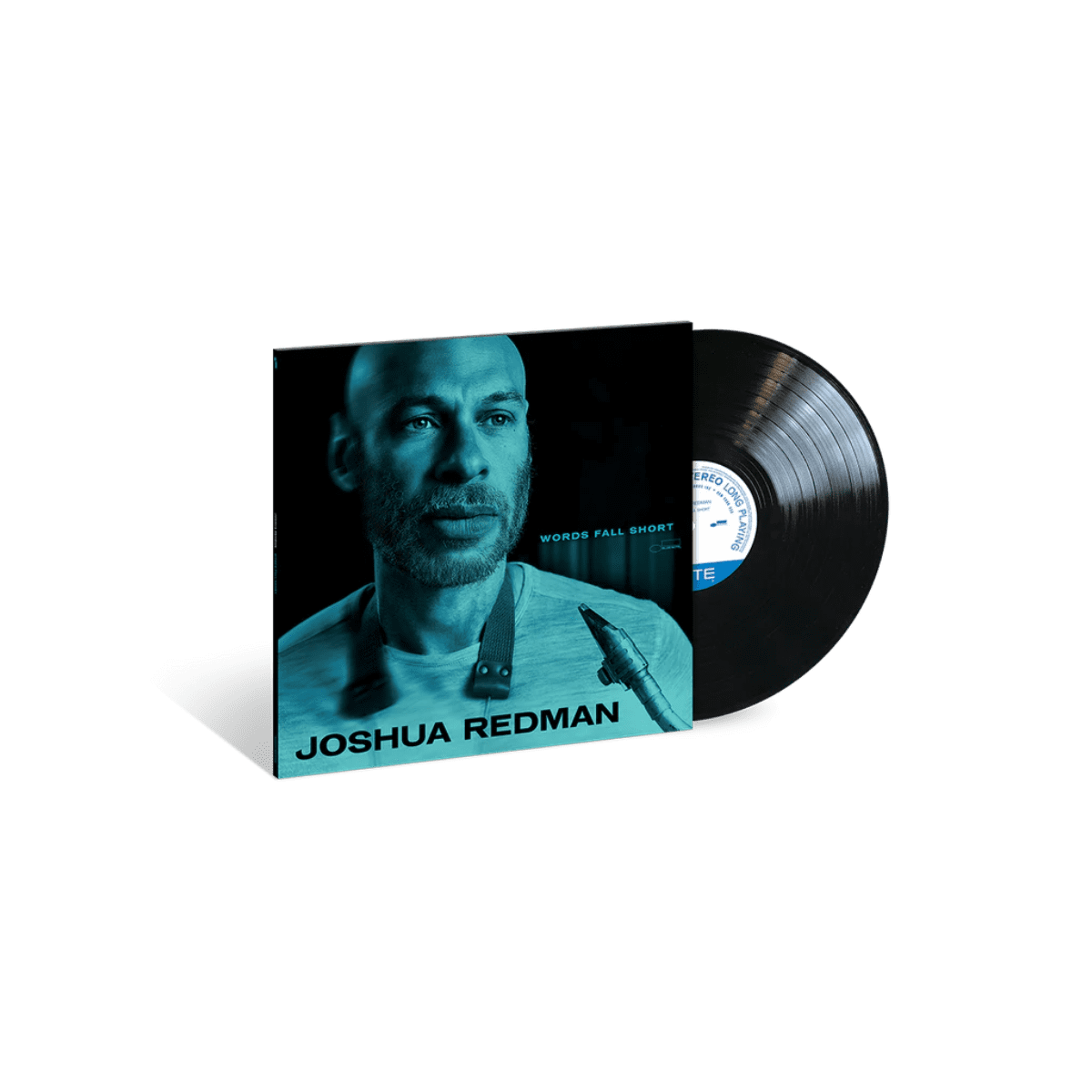 Words Fall Short - Vinyl