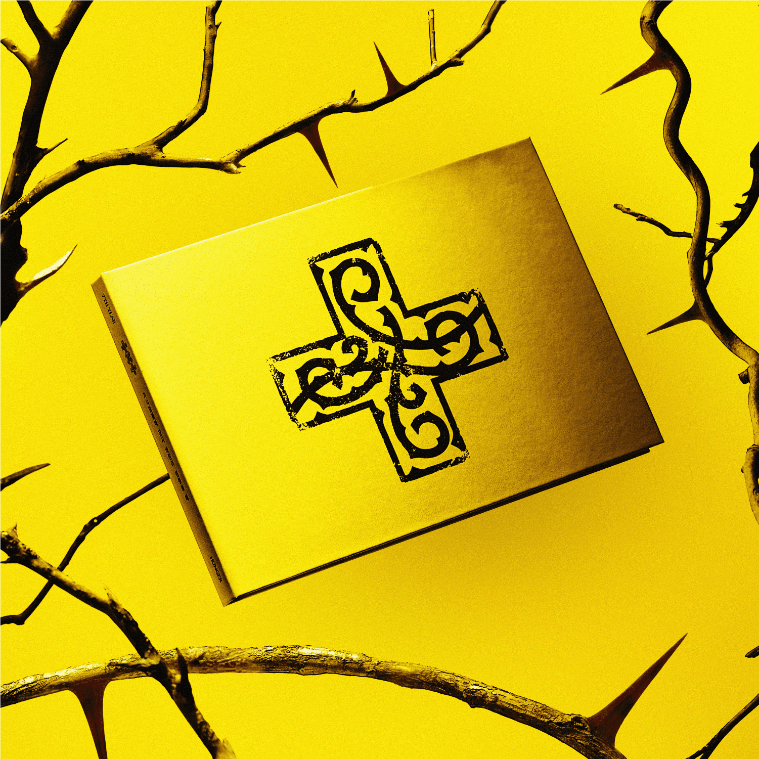 7TH YEAR: A Moment of Stillness in the Thorns (Yellow): CD Album